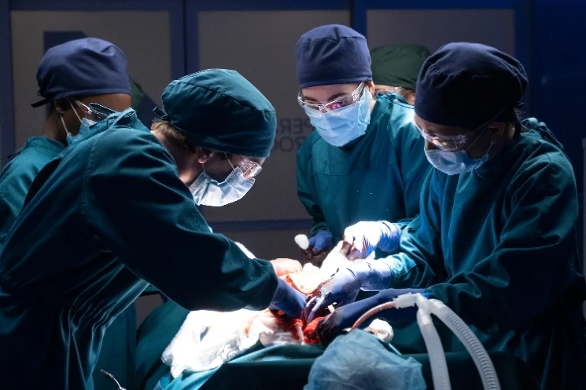 Dobrý doktor, 2020 - fotogaléria