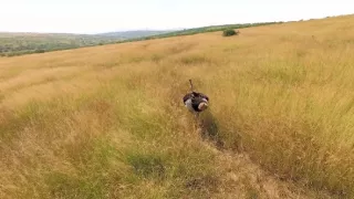 Zapnúť mozgy (8)