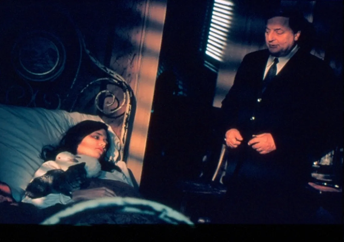 Maigret (Maigret et la maison de Félicie), 2002 - fotogaléria