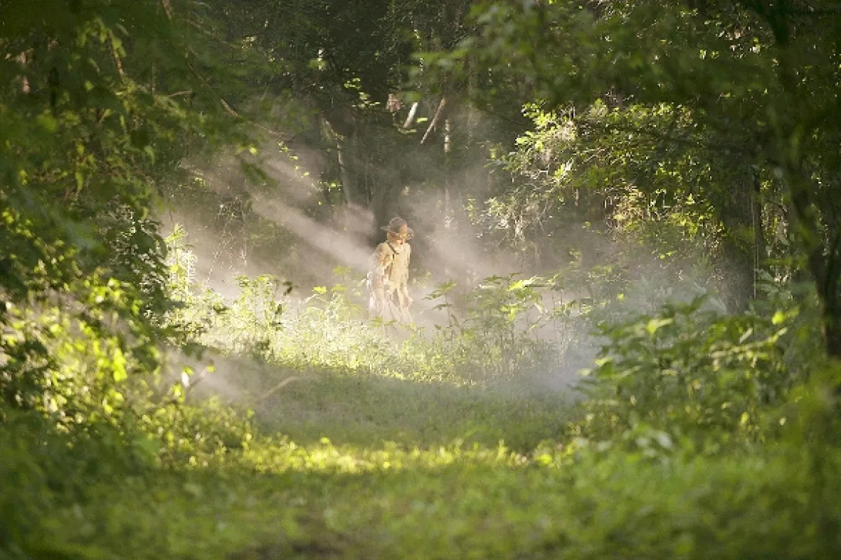 V elektrizující mlze (In the Electric Mist), 2009 - fotogaléria