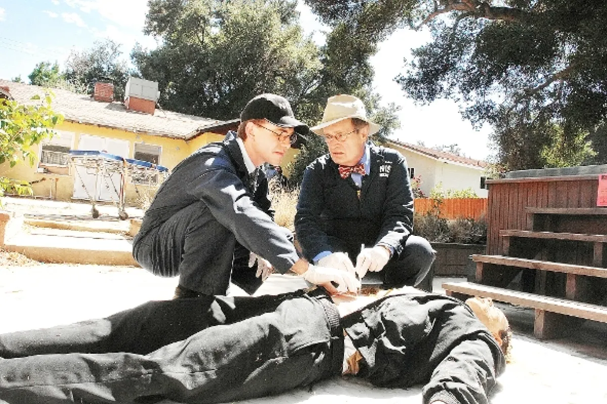 NCIS - Námorný vyšetrovací úrad, 2010 - fotogaléria