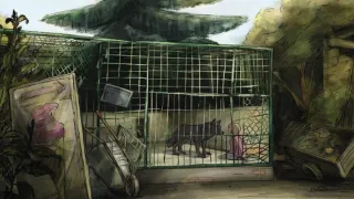 Moja afganská rodina
