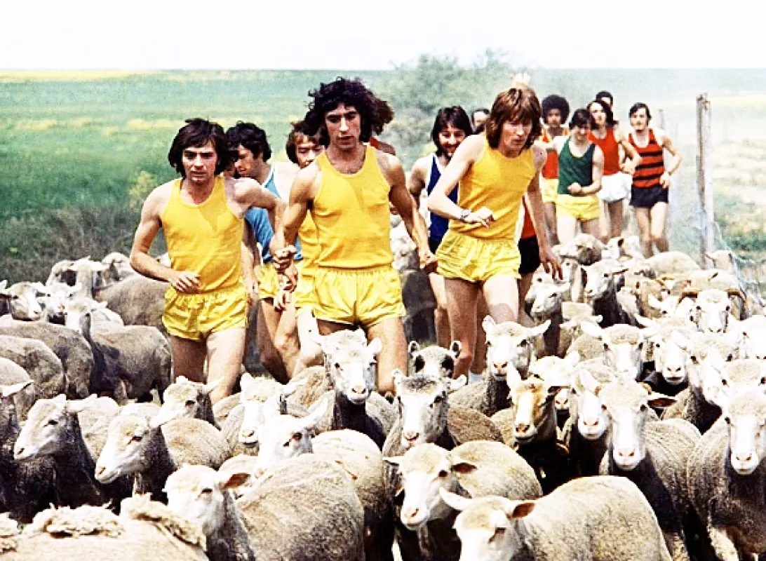 Blázni ze stadiónu (Fous du stade, Les), 1972 - fotogaléria