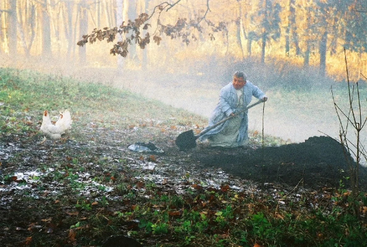 Šílení, 2005 - fotogaléria