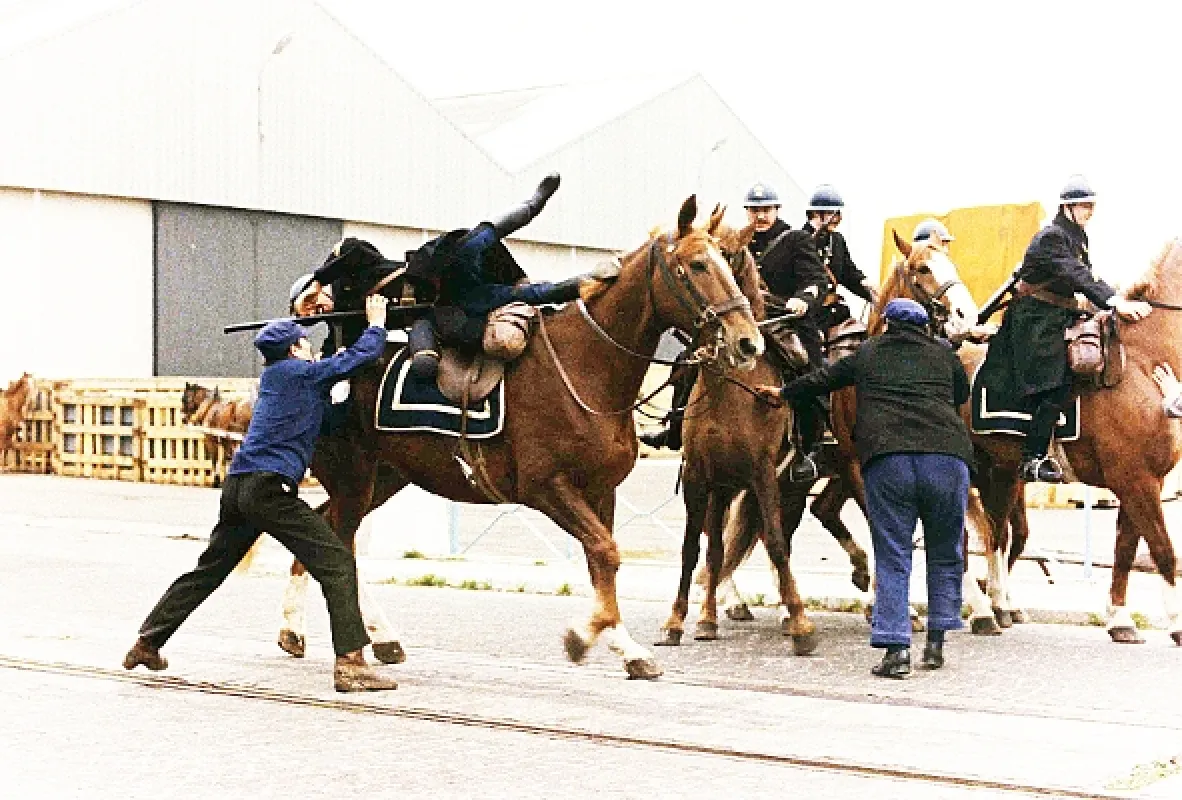 Borsalino a spoločnosť (Borsalino and Co.), 1974 - fotogaléria