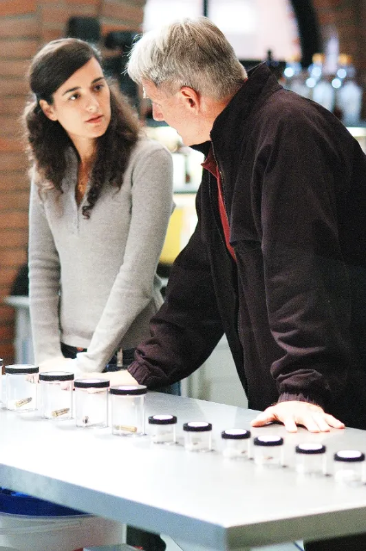 NCIS - Námorný vyšetrovací úrad, 2005 - fotogaléria