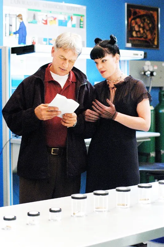 NCIS - Námorný vyšetrovací úrad, 2005 - fotogaléria