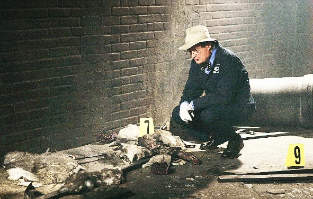NCIS - Námorný vyšetrovací úrad, 2006 - fotogaléria