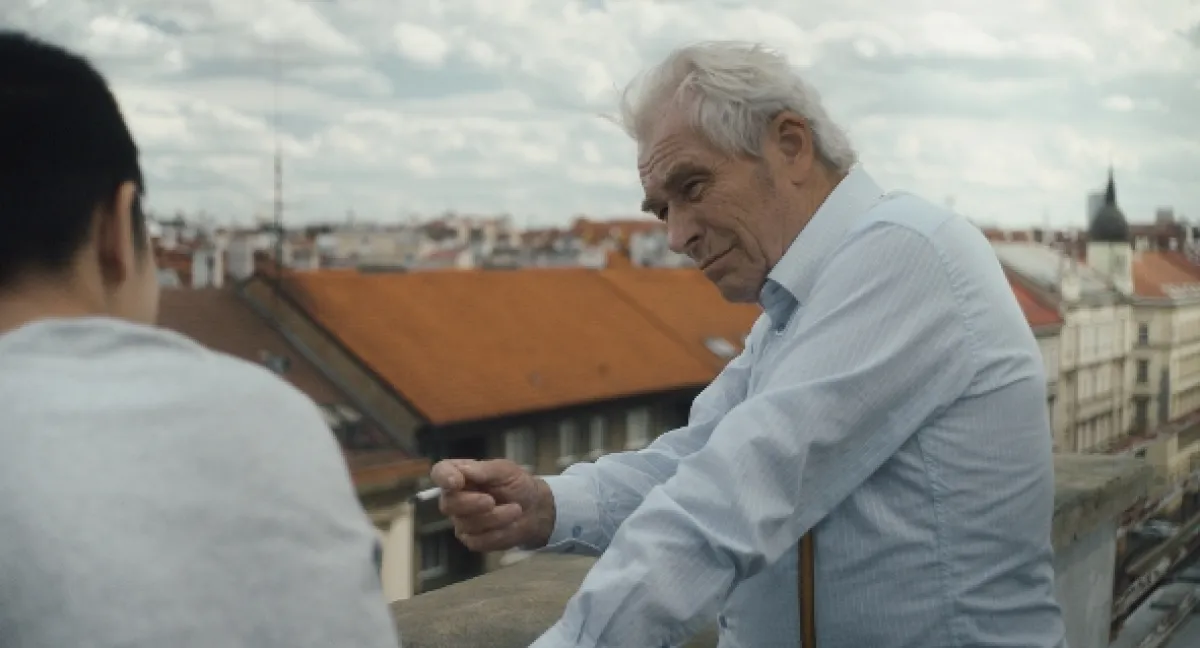Na střeše, 2019 - fotogaléria
