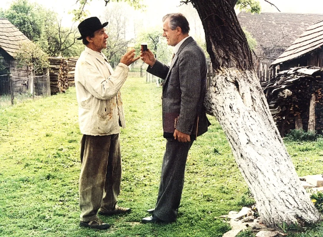 Opera ve vinici, 1981 - fotogaléria