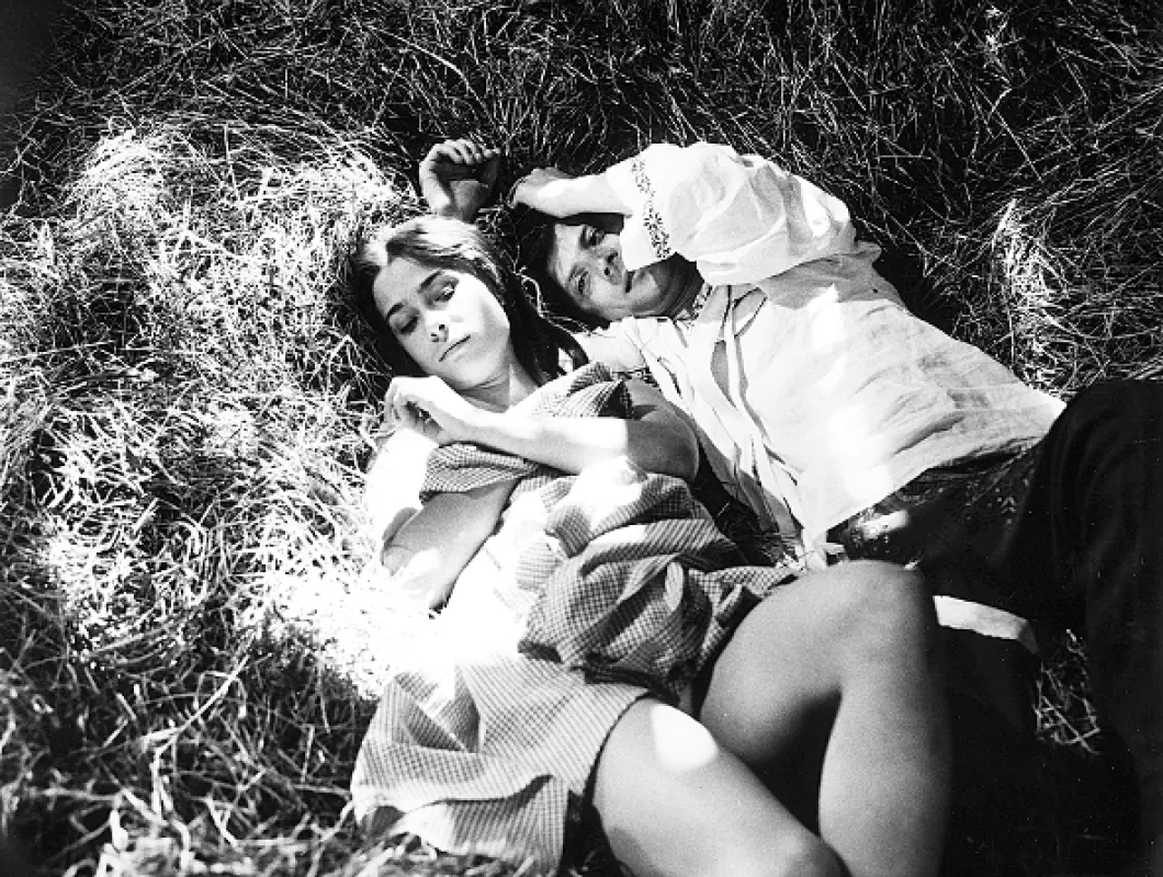 Opera ve vinici, 1981 - fotogaléria