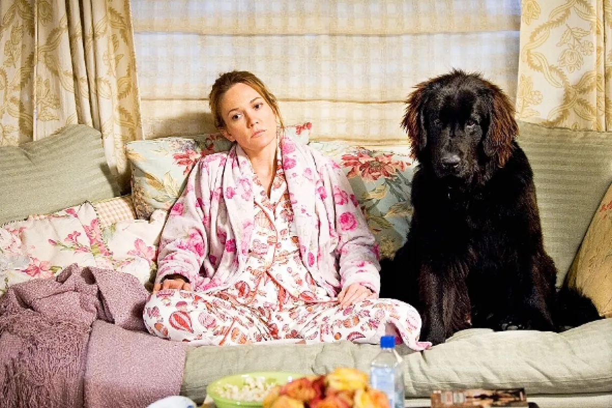 Láska na inzerát (Must Love Dogs), 2005 - fotogaléria