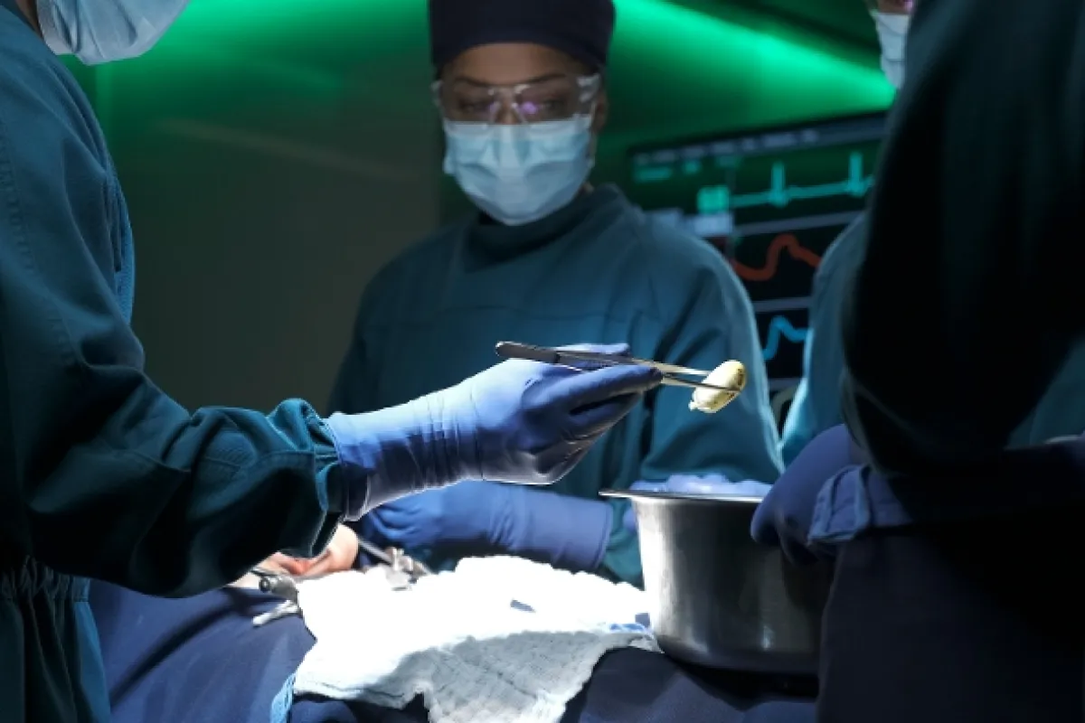 Dobrý doktor, 2019 - fotogaléria