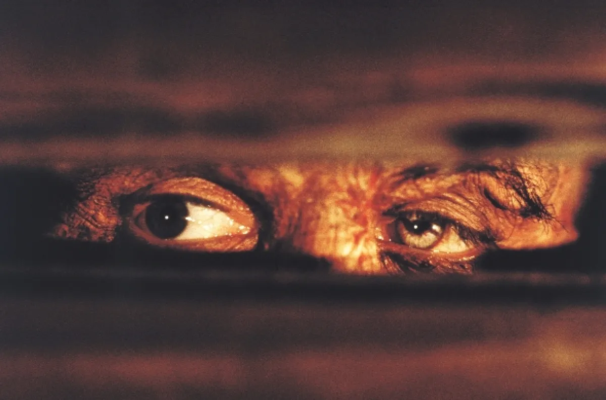 Frankenstein, 1994 - fotogaléria