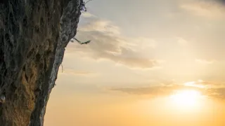 Divoká příroda Ománu (1/2)