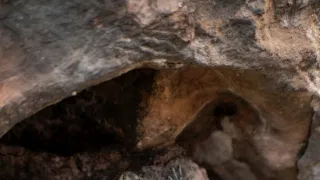 Divoká příroda Ománu (1/2)