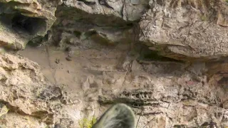 Divoká příroda Ománu (1/2)