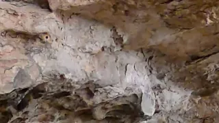 Divoká příroda Ománu (1/2)