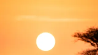 Divoká příroda Ománu (1/2)