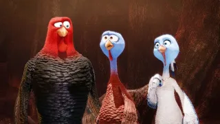 Ptačí úlet