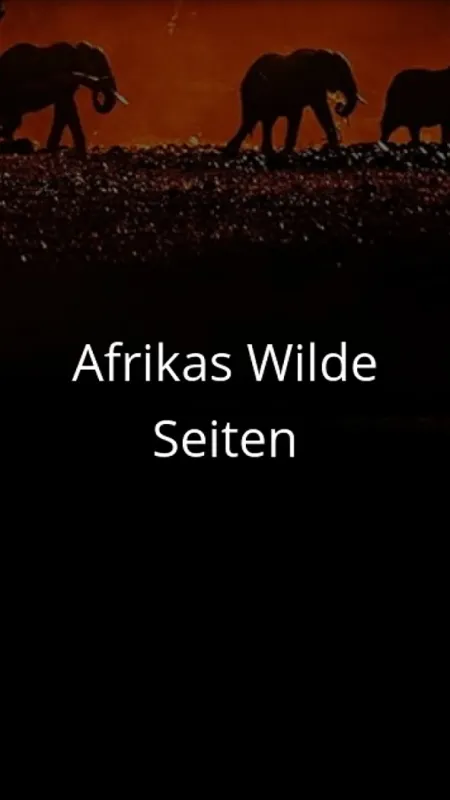 Divoké historky ze savany - fotogaléria