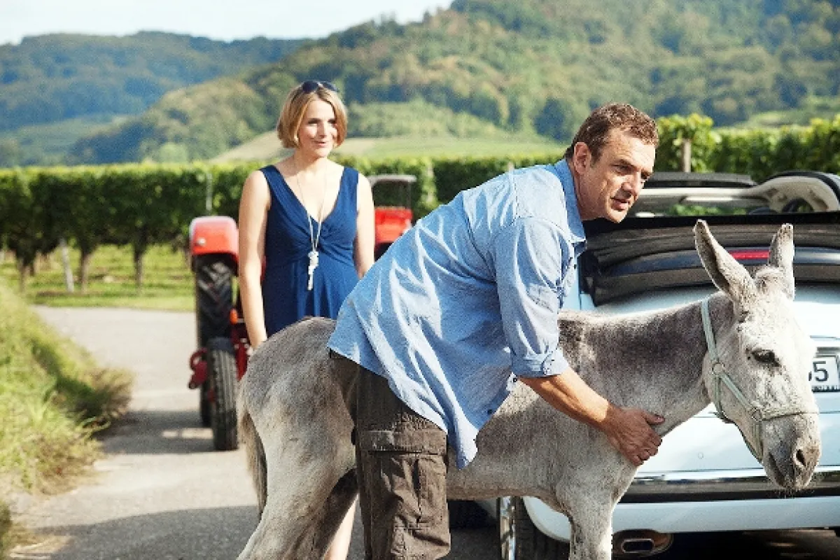 Leto v Alsasku (Eis Sommer im Elsass), 2012 - fotogaléria