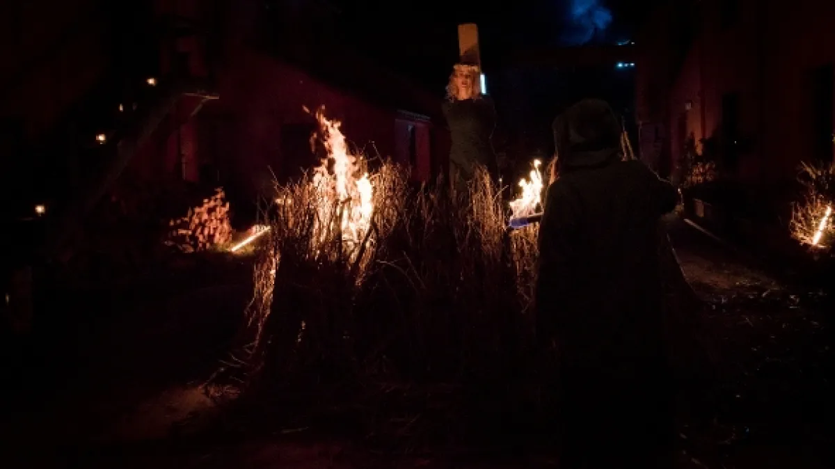 Balthazar, 2020 - fotogaléria