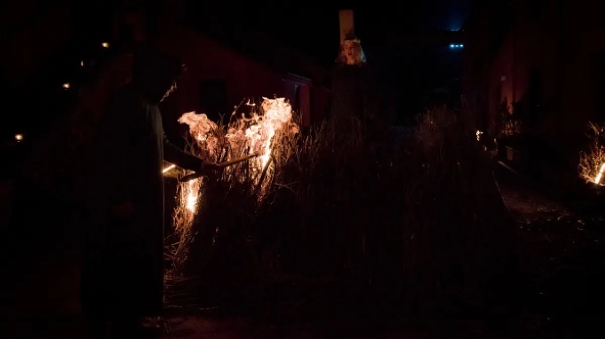 Balthazar, 2020 - fotogaléria