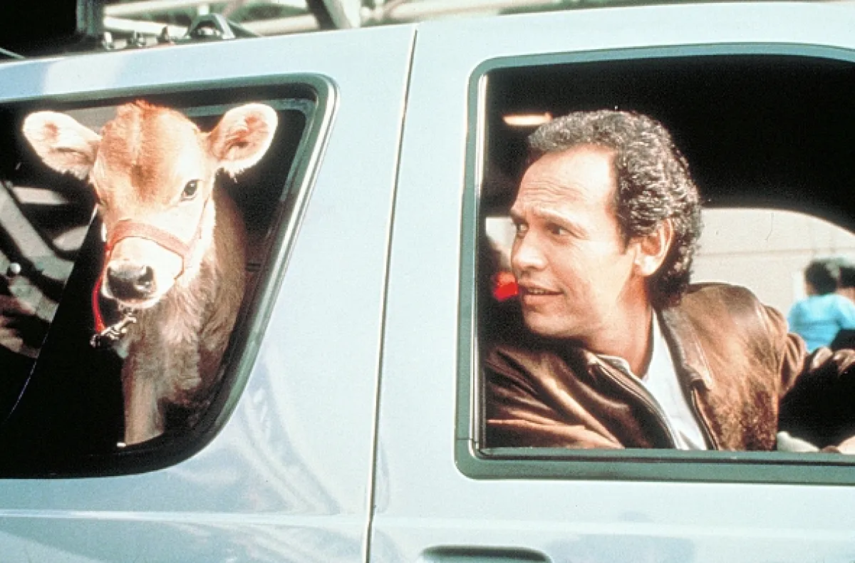 Dobrodruzi z velkoměsta (City Slickers), 1991 - fotogaléria