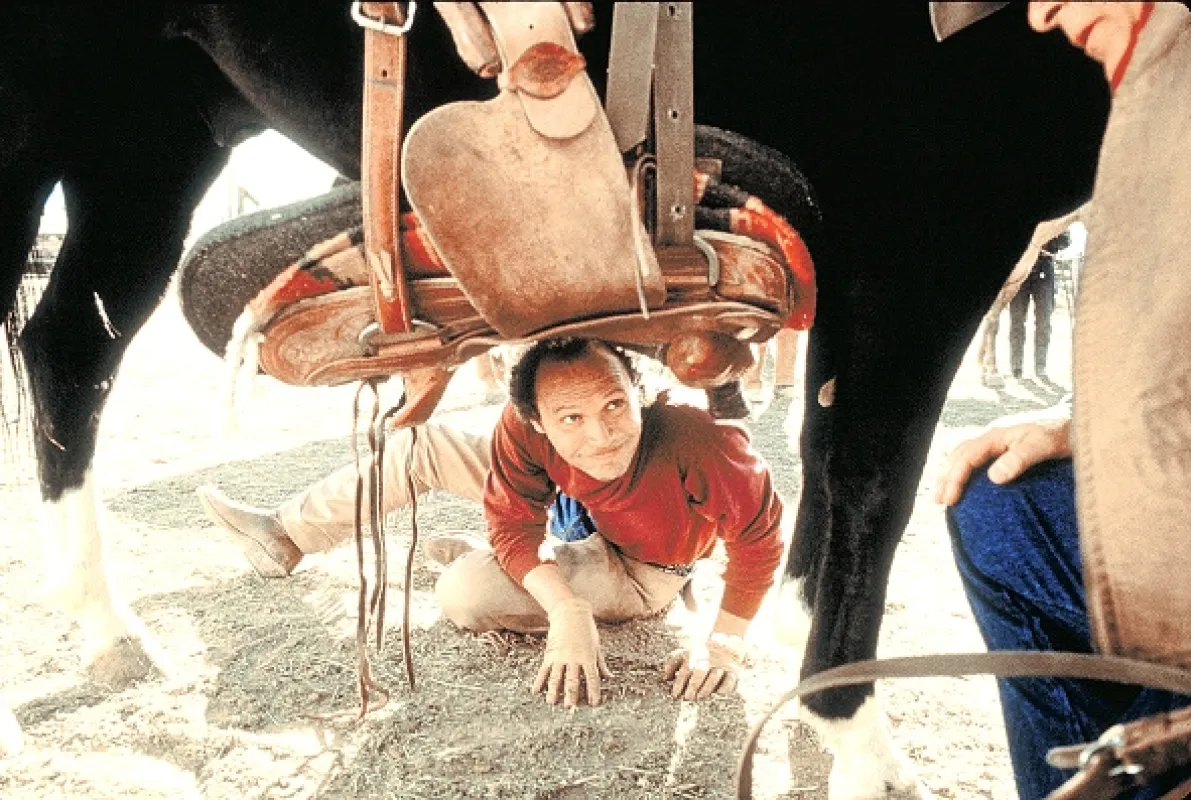 Dobrodruzi z velkoměsta (City Slickers), 1991 - fotogaléria