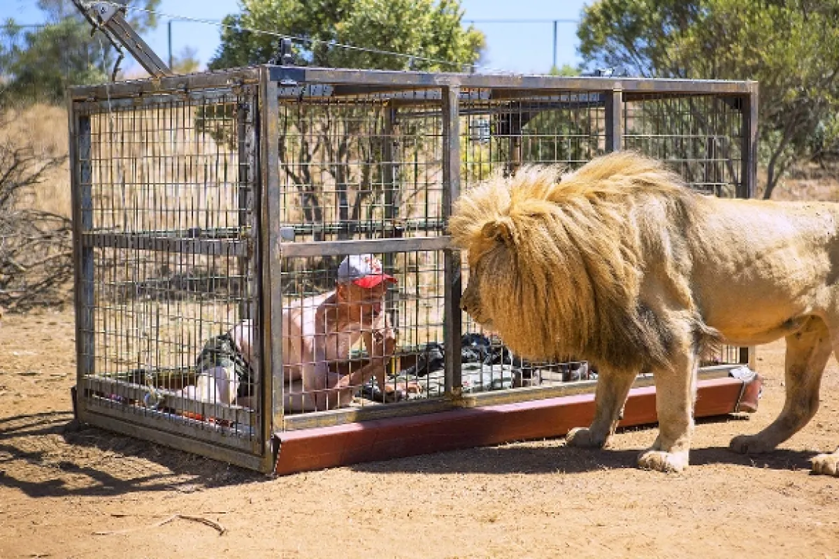 Chvenie 5: Pokrvné línie (Tremors 5: Bloodlines), 2015 - fotogaléria