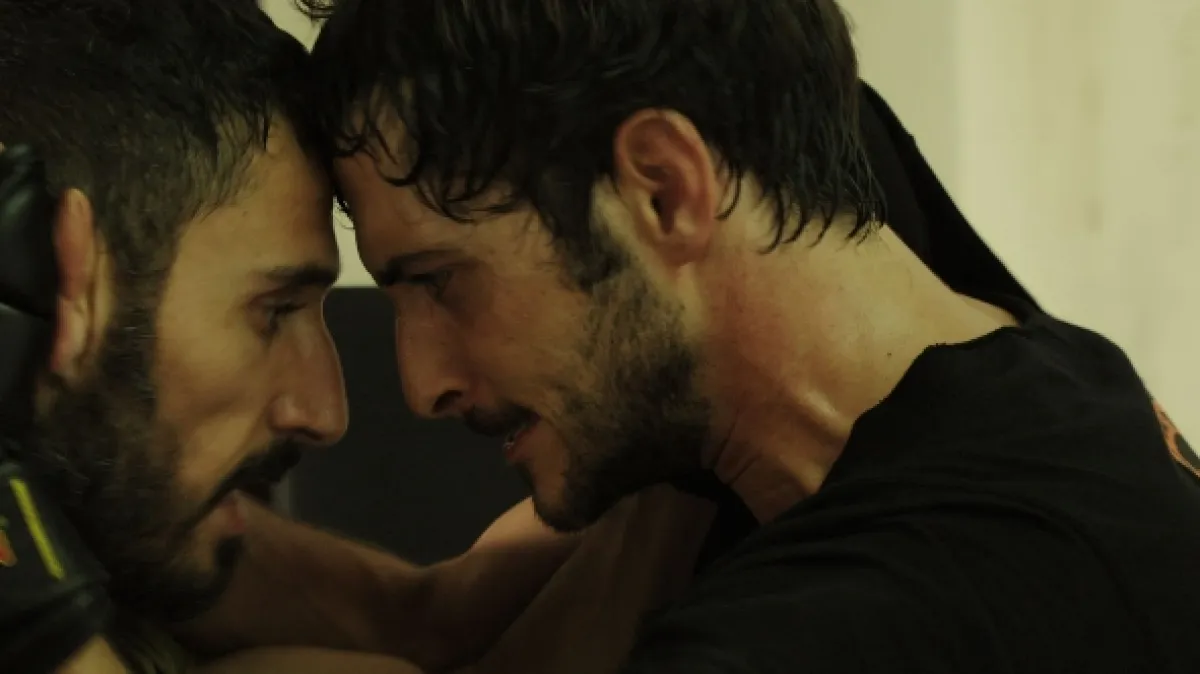 Fauda, 2015 - fotogaléria