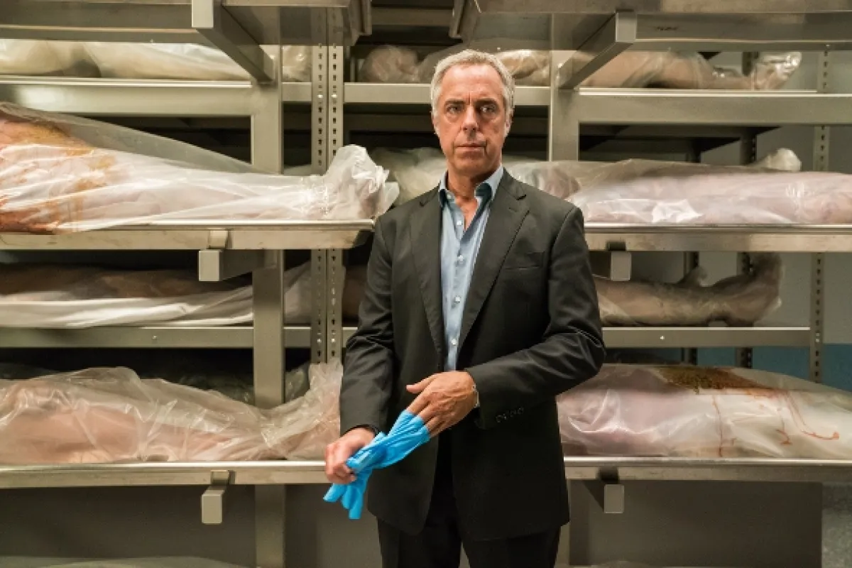 Bosch (BOSCH), 2018 - fotogaléria