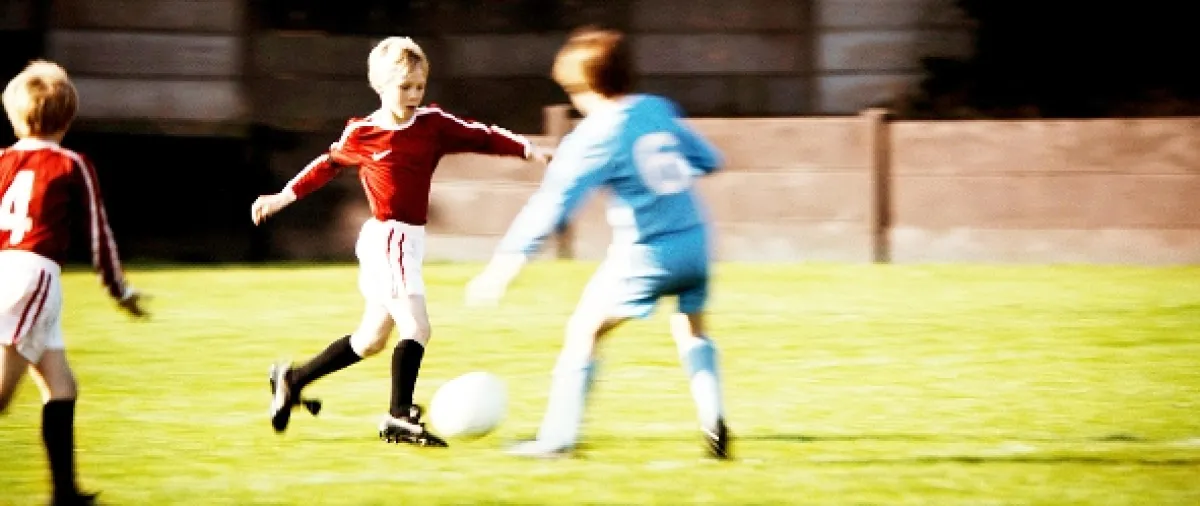 Cesta za snom (Theatre of Dreams/Believe), 2013 - fotogaléria