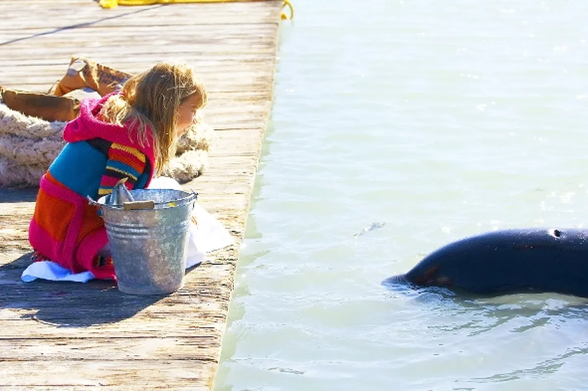 Zachráňte Willyho 4 (Free Willy: Escape from Pirate’s Cove), 2010 - fotogaléria