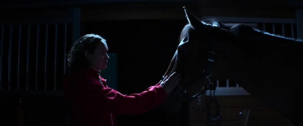 Otravný príbuzný (Thoroughbreds), 2017 - fotogaléria