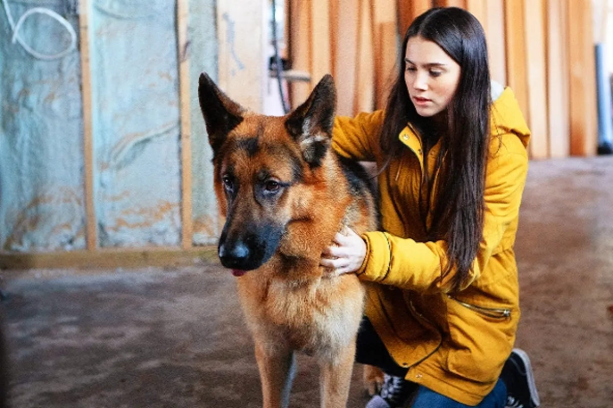 Hudson a Rex (Hudson & Rex), 2019 - fotogaléria