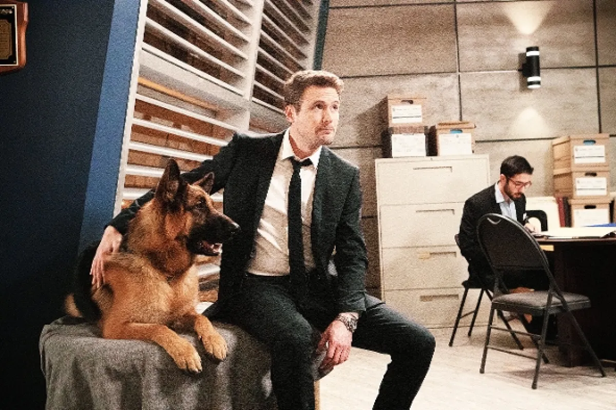 Hudson a Rex (Hudson & Rex), 2019 - fotogaléria