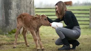 Láska z Texasu