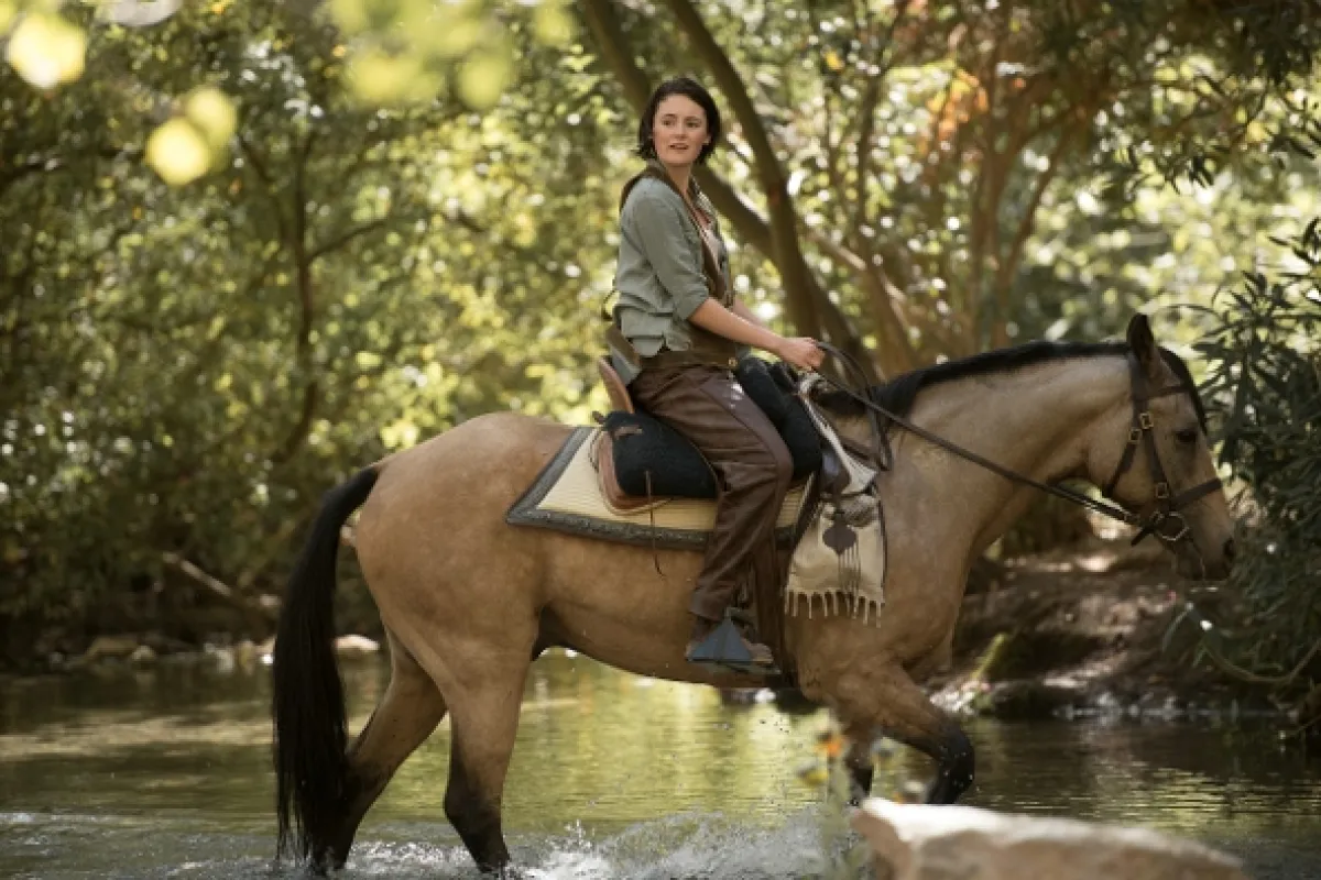 Vichr 3 (Windstorm 3), 2017 - fotogaléria
