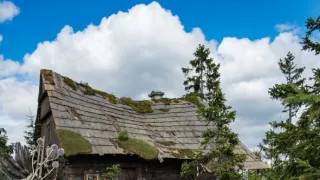 Vianočná premiéra: Krakonošovo tajomstvo