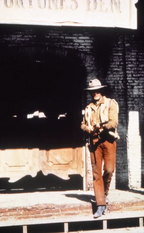 Sbohem, Kalifornie (California), 1977 - fotogaléria