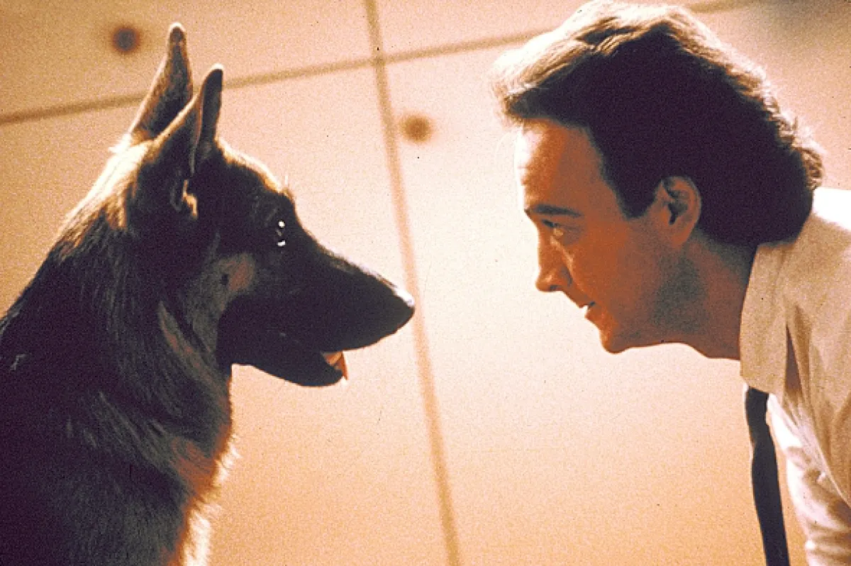 K-9: Můj přítel se studeným čumákem (K-9), 1989 - fotogaléria