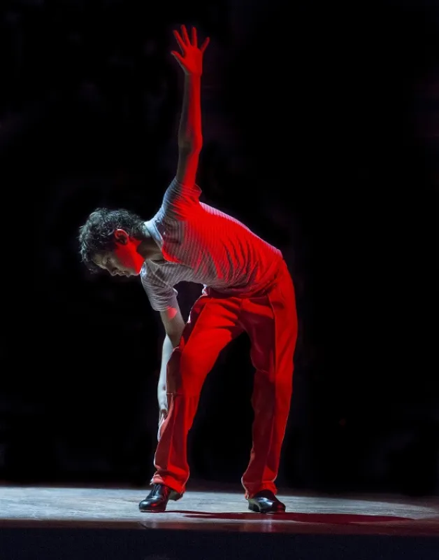 Billy Elliot Muzikál (Billy Elliot the Musical), 2014 - fotogaléria