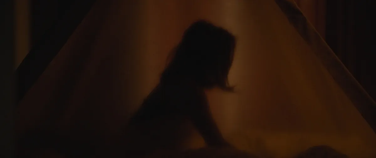 Domestik, 2018 - fotogaléria