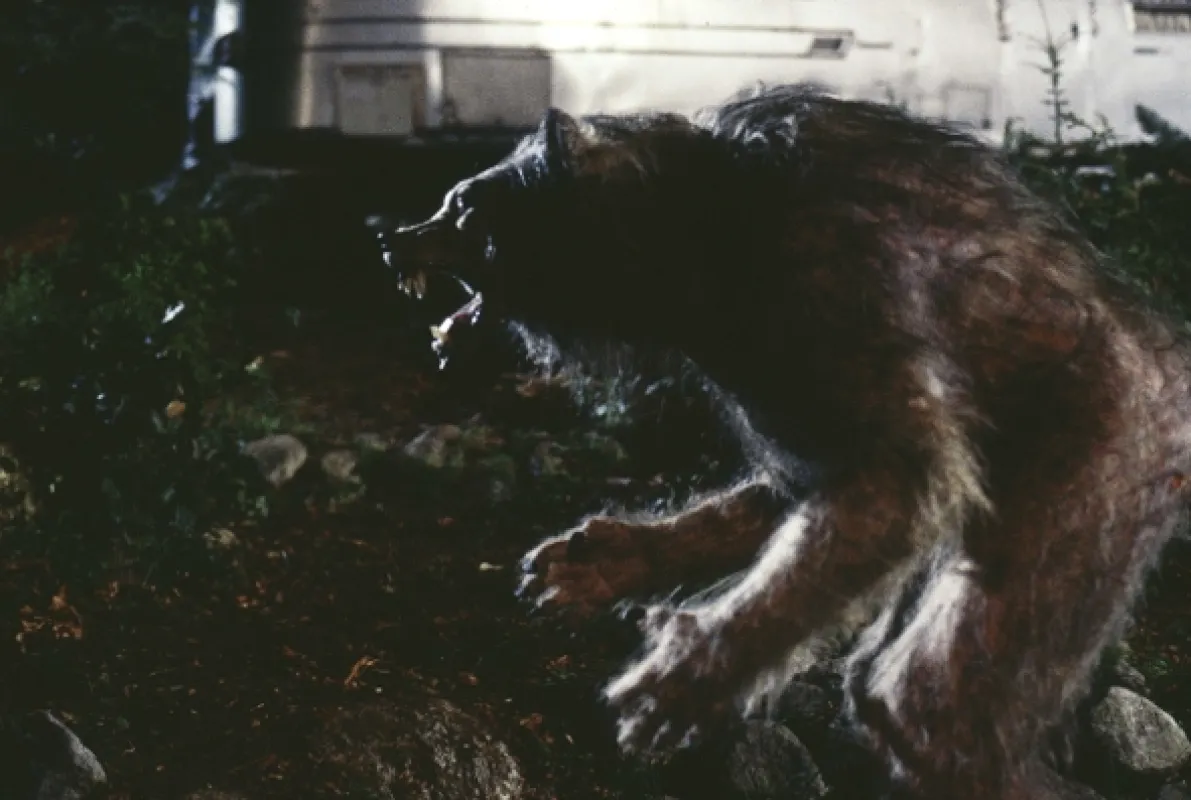 Temný spln, 1996 - fotogaléria