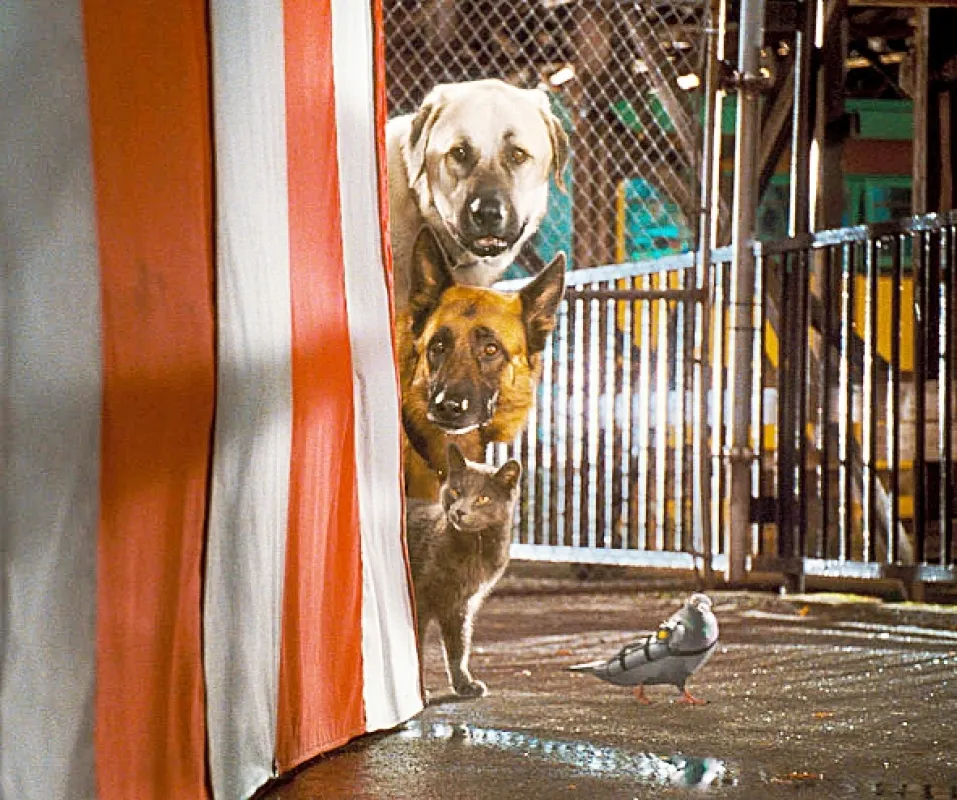 Mačky a psi (Cats & Dogs), 2001 - fotogaléria