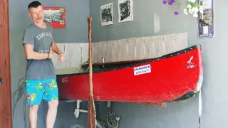 Úhoři mají nabito