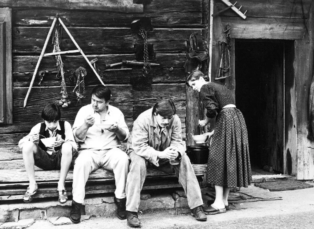 Stíny horkého léta, 1977 - fotogaléria