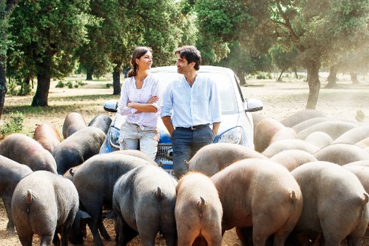 Leto v Salamanke (Ein Sommer in Salamanca), 2019 - fotogaléria